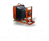 Bilder von Fans